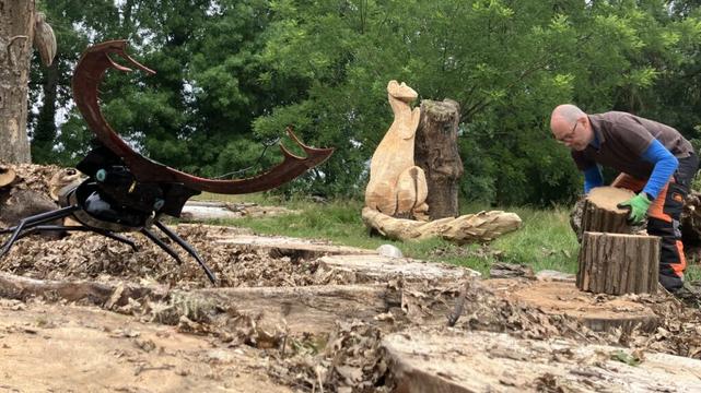 l’œuvre de Vilmouth inspire Scènes de nature