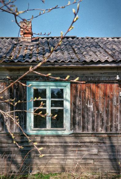 Old window with blue frame on the wall of a wooden, dark old house.On the edges of the image tree branches, grass below. Above the house blue sky.