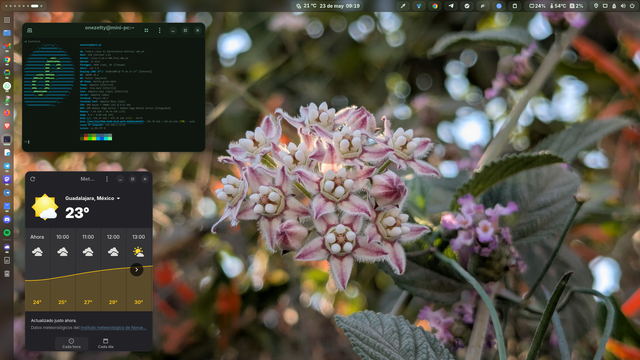 Captura de pantalla de mi PC con Fedora Linux