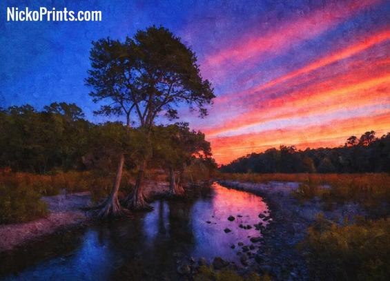 Bald cypress trees near the Guadalupe River in Texas at twilight