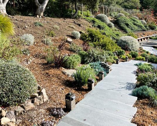 Stunning Stinson Beach gardens open for special event – Marin Independent Journal