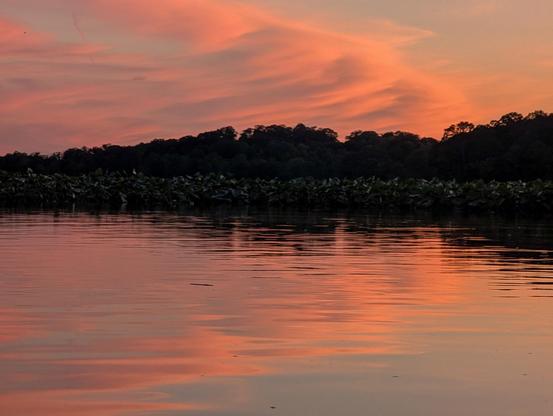 Pink whispy clouds reflecting in calm water with light ripples of wind at dusk in Mattawoman Creek