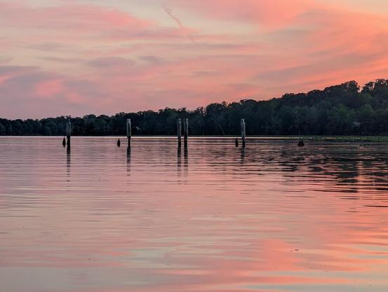 Pink and purple clouds reflecting in water over Mattawoman Creek with pilings from old walkway sticking out of the water