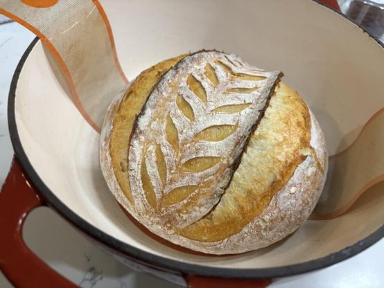 First sourdough came out pretty