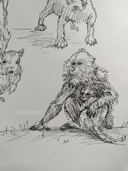 Black Fineliner on paper 

sketch of a monkey holding another young monkey in their arm, both sitting