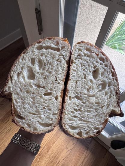 Sourdough enjoys the spring humidity