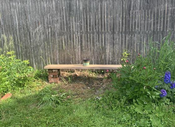 Photo: a garden bench made with a 1 1/2” thick rough milled Red Oak board supported by two columns of old used bricks. Behind the bench is a tall wooden fence. The garden grows larger and taller on each side of the bench. A mug is sitting in the middle of the bench.