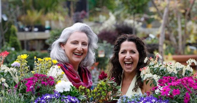 Opening times, ticket costs, gardens to see, things to do and more – The Irish Times