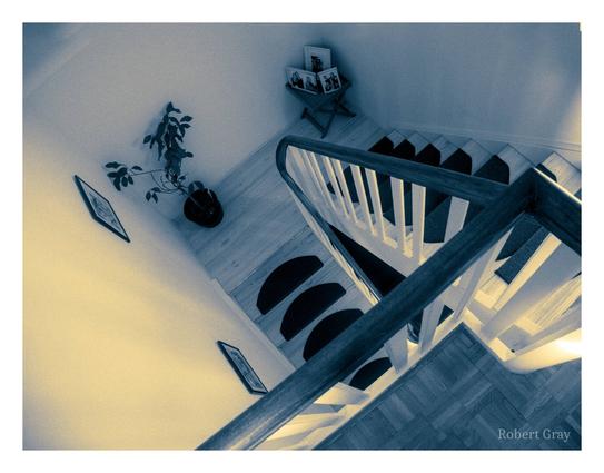 Split-tone (blue-orange) view looking down into a stairwell with framed photos on the wall and a pot plant.