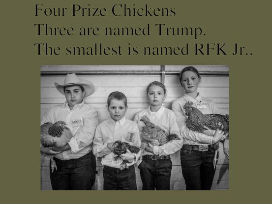 Monochrome photo of four young folks holding their prize winning chickens - taken by Clark Mishler for the Alaska State Fair marketing department, documenting singular moments that define the rural, small-town aspect of life in the state’s Matanuska-Susitna Valley. 'All About Photo' Awards 2025
Above the photo, in the border, I added :
Four Prize Chickens
Three are named Trump.
The smallest is named RFK Jr. .