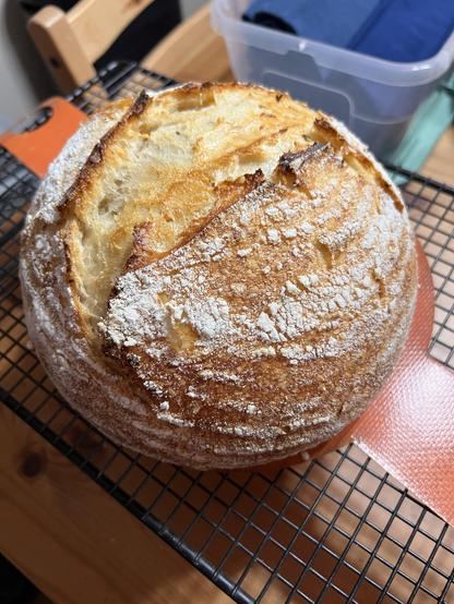 Photo of a round boule of sourdough bread on a black wire cooling rack.