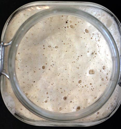 Top down image of an open Kilner jar half full of sourdough starter showing a large number of bubbles.