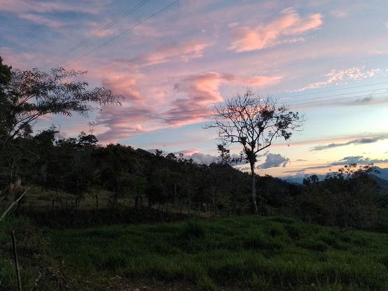 A brilliant sunset.
#Blackside #earthnow #elitepix #fotomasters #FrontView #hey_ihadtosnapthat #imagehub #lensculture #Nature #Outdoors #picplanet #pictas #rebel_sky #rebels_united #ScenicsNature #Snap_allnature #Snap_alltrees #Snap_community #Snap_community_member #Snap_country #Snap_depthoffield  #Snap_landscape #Snap_silhouette #Snap_skies #vero #verofamily #verofriends #verotography