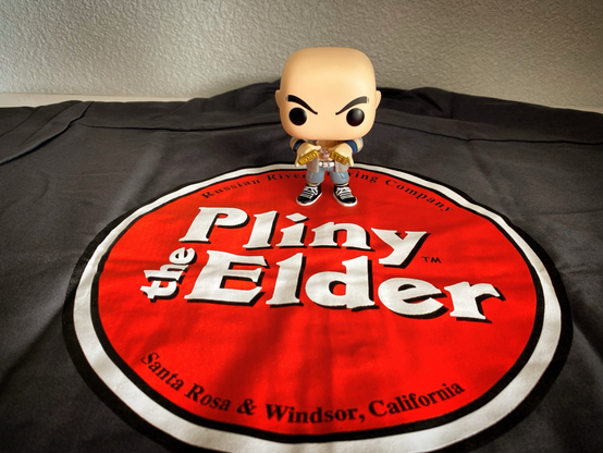 Cal and Pliny the Elder