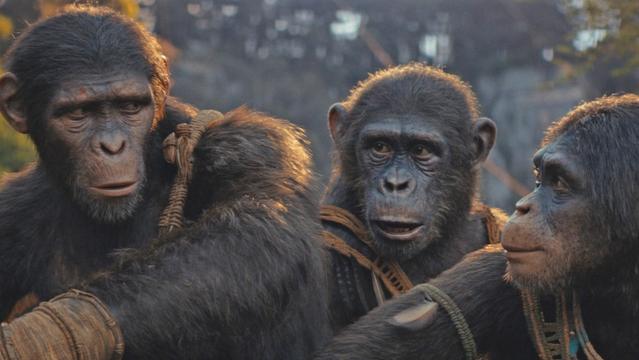 "Kingdom of the Planet of the Apes"