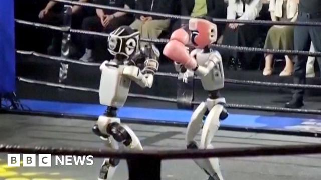 Two humanoid robots fighting in boxing ring