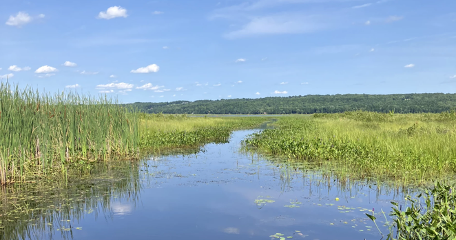 A view from the public boat launch on Messalonskee Lake in Belgrade. Temperatures on Maine lakes have soared as climate change heats the globe, increasing the risk of ecologic damage from algal blooms, invasive species and pollution.