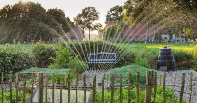 Your peak-summer gardening checklist | Solutions