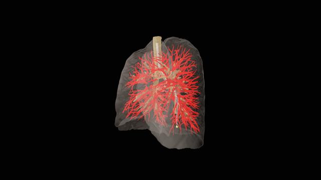 Modelos de AI aprimoram manuseio de agulhas médicas