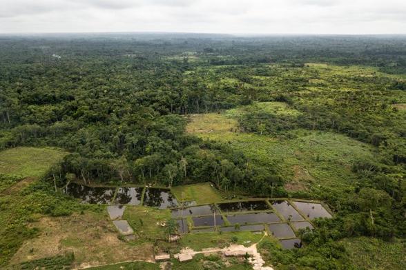 New guide supports transparent land-use monitoring for climate action