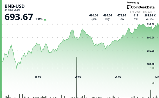 BNB price chart (CoinDesk Data)