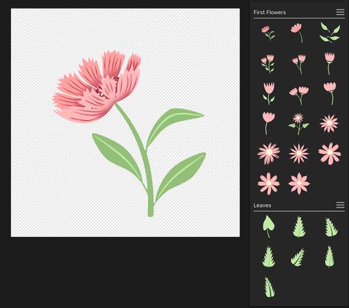 First vector flower and leaf assets by Sheri42 in Affinity Designer