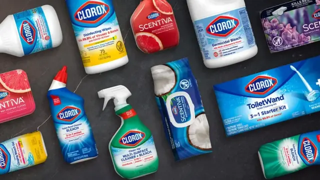 Picture of Clorox products.