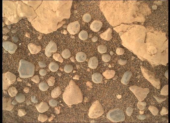 A close-up color photograph from the Martian surface shows an overhead view of a patch of ground covered in what looks like very coarse, rust-colored sand, with numerous rocks in various colors resting atop the sand. Large pale-orange rocks, knobby and lined with small fractures, dominate the upper right and left corners of the frame. Most of the rest of the image is highlighted by dozens of smaller rocks, about half of them pale gray and nearly spherical, resembling dust-covered blueberries or frozen peas.