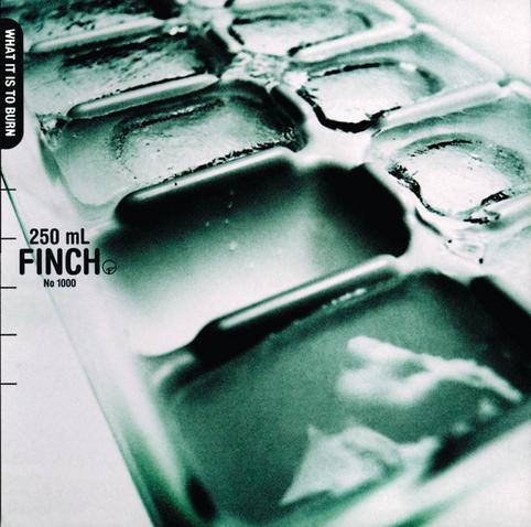 Image for What It Is To Burn by Finch