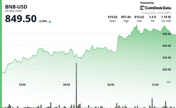 BNB price chart (CoinDesk Data)