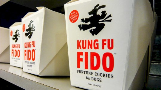 downgrade-attack-allows-phishing-kits-to-bypass-fido-–-source:-wwwdarkreading.com