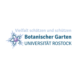 Universität Rostock-Logo