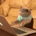 :acat_keyboard: