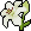 :flower_lily: