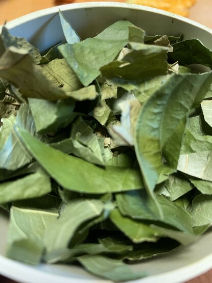 A close-up of a bundle of jackfruit leaves cut into small pieces and put into a coffee grinder. 