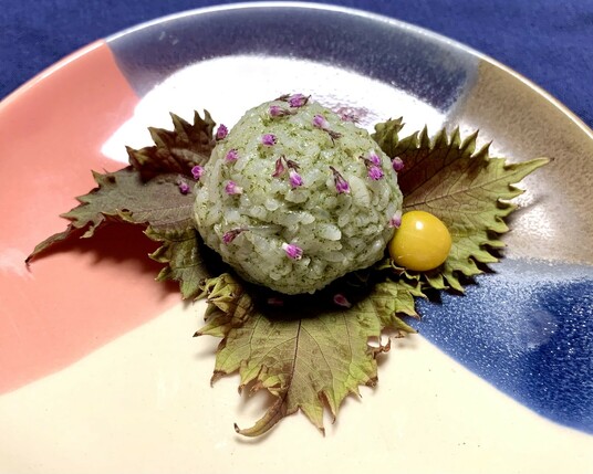 On the irregular round plate with a pie chart coloration of pink, navy, slate and lápiz, is a single onigiri dyed and speckled green with softened powdered jackfruit. It is sprinkled evenly with dark pink shiso flowers and sits on three red and green shiso leaves and a tiny wild golden physallis berry sits to the right next to the onigiri ball. 