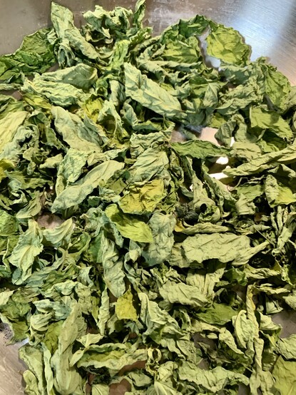 Image of lots of dried green katuk leaves in a frying pan. 