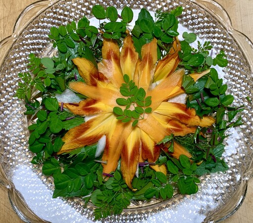 On a flat glass dish whose undersides are sculpted into bubbles to reflect light is a bed of bright green moringa leaves. Also among the moringa is some baby fennel and okahijiki like tiny soft bunches of green twigs. Sitting on this nest of verdancy is an explosion of oranges, reds and yellows and whites like a star or fireworks explosion. The explosion of colors come from lightly pickled daikon, carrot and daylily petals. The root vegetables are shaped like the long daylily petals. On top of the explosion is delicate sprig of baby moringa leaves. 