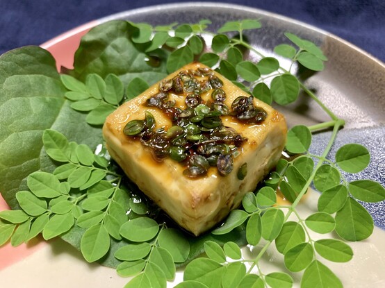 Blue background. Pink, blue, grey ceramic plate. On the plate is a freshly snipped Malabar spinach leaf and a moringa frond of leaves on top. Sitting on the leaves is a broiled square of tofu, nicely browned. It is drizzled with soy pickled peppercress seeds. It looks scrumptious. It was. 