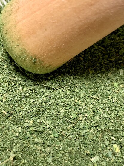 A close up image of green dried moringa leaves in a suribachi bowl. A wood pestle is stained green. 