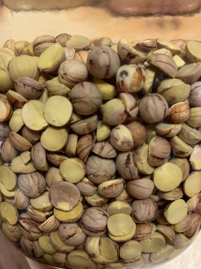 The image shows acorns in a glass jar. The water is so completely clear that you cannot tell that there is any water in the jar. The acorns are a pale yellowish colour and still have the brown skins. I don't take off the skins bc that's too much work and those skins probably have worthwhile nutrients anyway. 