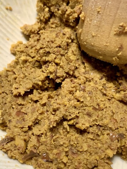 A close-up of acorns and ￼umeboshi mashed together into a dry paste in a suribachi bowl. 