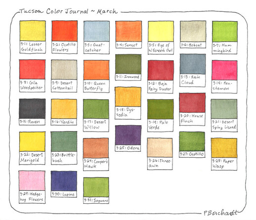 Tucson Color Journal for March - watercolor art of 31 colors seen in my yard in March including birds, wildflowers, plants, mammals, reptiles, etc.