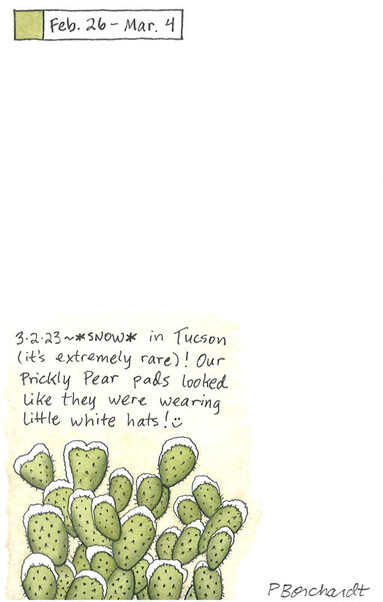 Perpetual Journal watercolor and pen art of a Prickly Pear cactus with snow on top (looking like little white hats on each pad), Tucson, AZ
