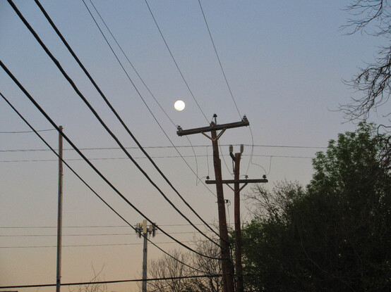 At a junction of residential streets, the utility wires zoom left to right, while some soar from mid pic up to the left corner.
The full moon is framed above a utility pole crossbar and between the wires.
The sky is a faded blue-gray with tree branches below to the right.