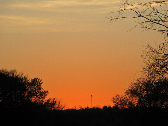 A zoomed version of the prior scene.
Now the sky shows as a mixed soup of faded blue and chalky orange.
Wispy white streaks of cloud show faintly.
Tree branches with, and without, leaves show in stark silhouette.
At the center a lone light pole stands.
It marks the freeway a mile away.