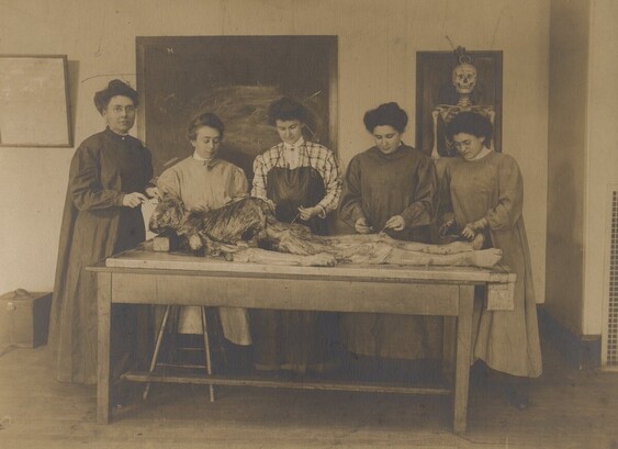 A sepia photo of five women in long dresses gathered around a cadaver in the dissection room of a medical school. Photo: Drexel Medical Archives. 