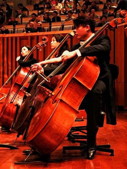 Three Chinese double bass players follow the conductor's directions (not shown) with the audience seated behind them.