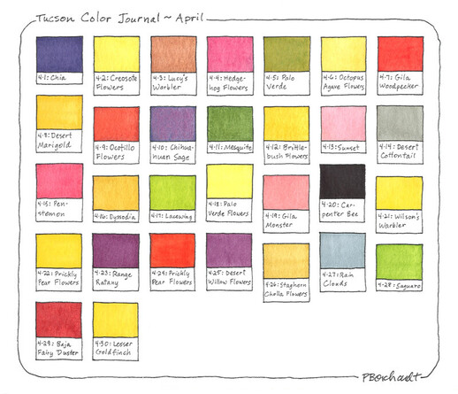 My Tucson Color Journal for April, showing 1 color/day representing the flora and fauna seen in my yard in April.