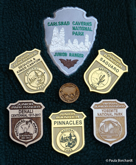 The Junior Ranger badges I've earned from Carlsbad Caverns, Sequoia & Kings Canyon, Saguaro, Kenai Fjords, Denali, Pinnacles, and Yosemite National Parks.
